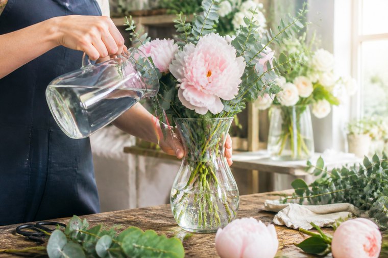 Floristin gießt frisches Wasser in eine Vase mit Pfingstrosen